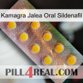 Kamagra Oral Jelly Sildenafil new11